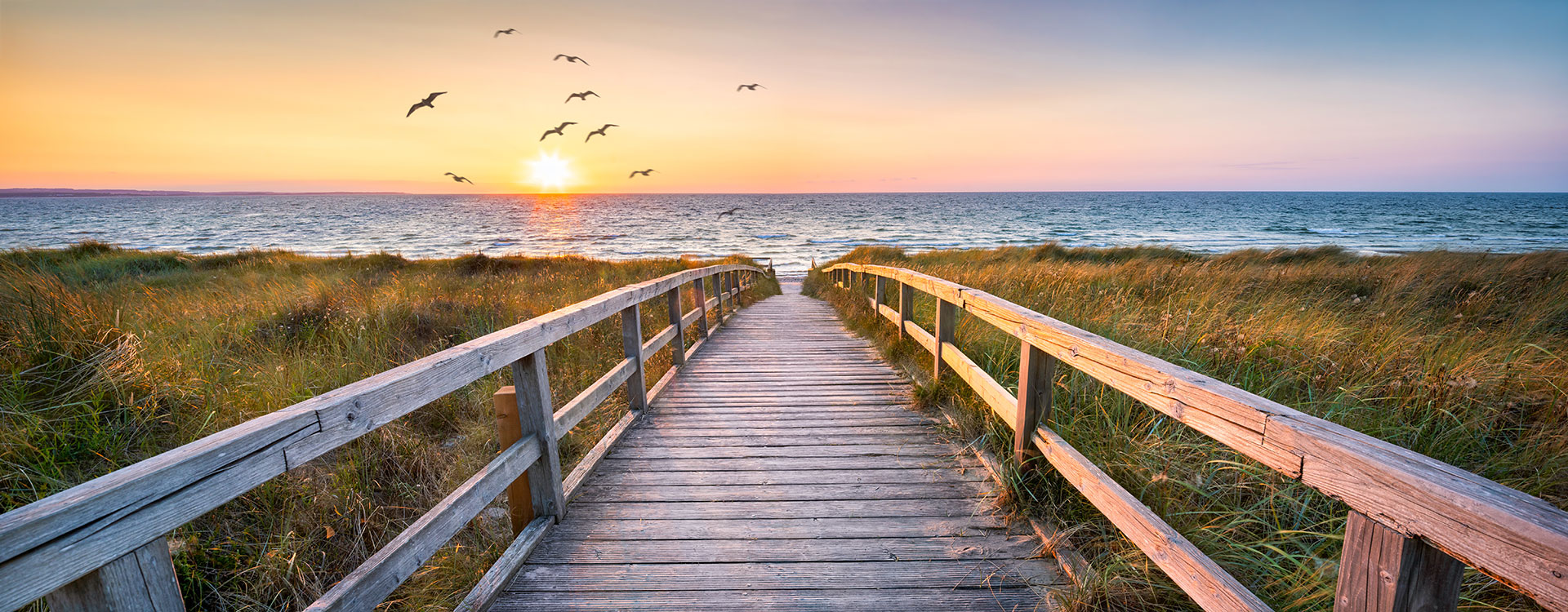 Dentist in Ocean NJ
